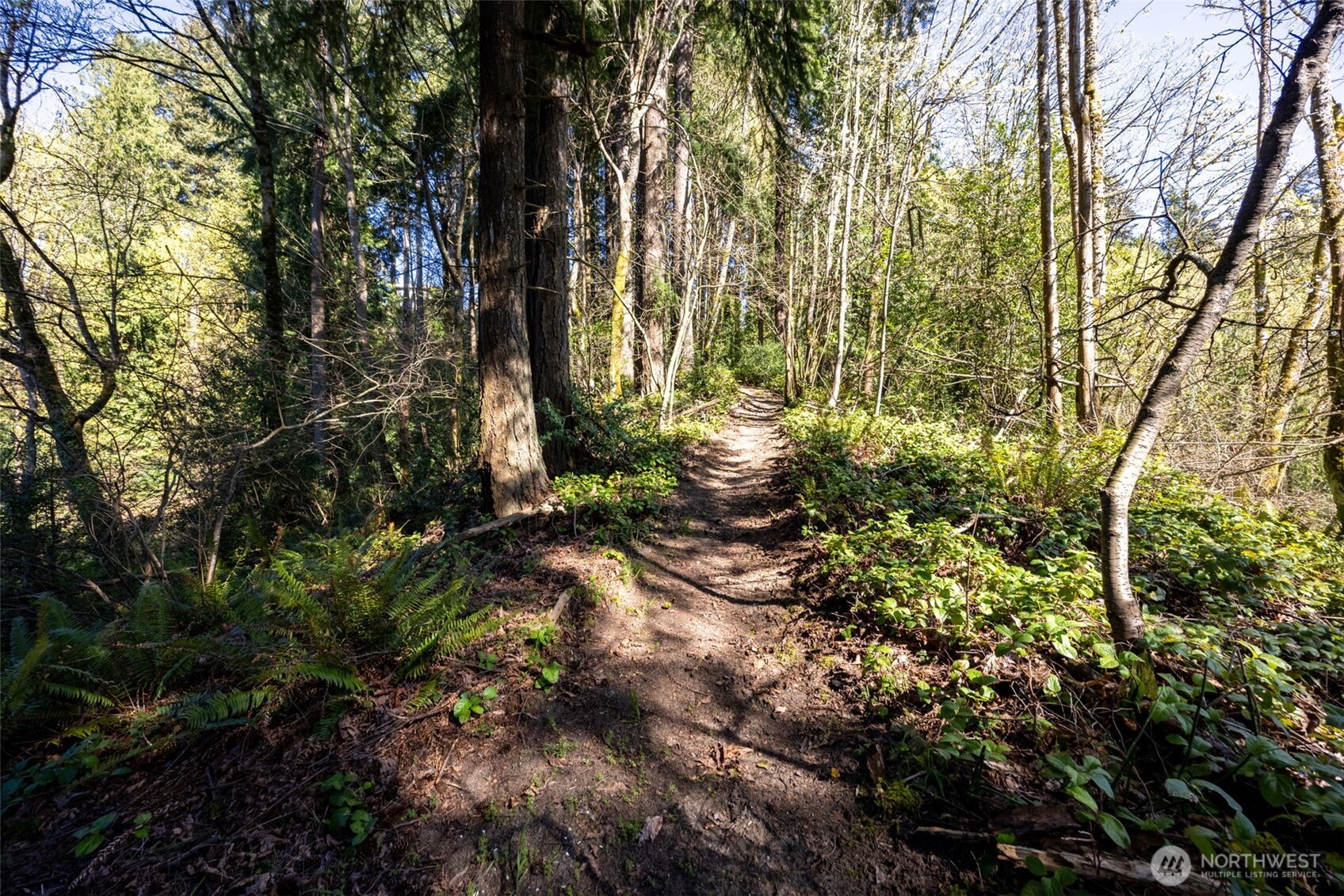 1923 Water Street SW, Olympia, WA 98501