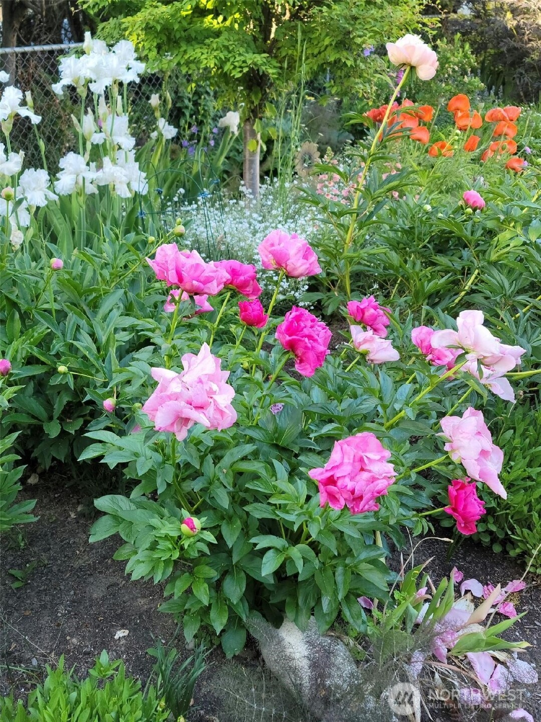 863 Dow Drive , Walla Walla, WA 99362