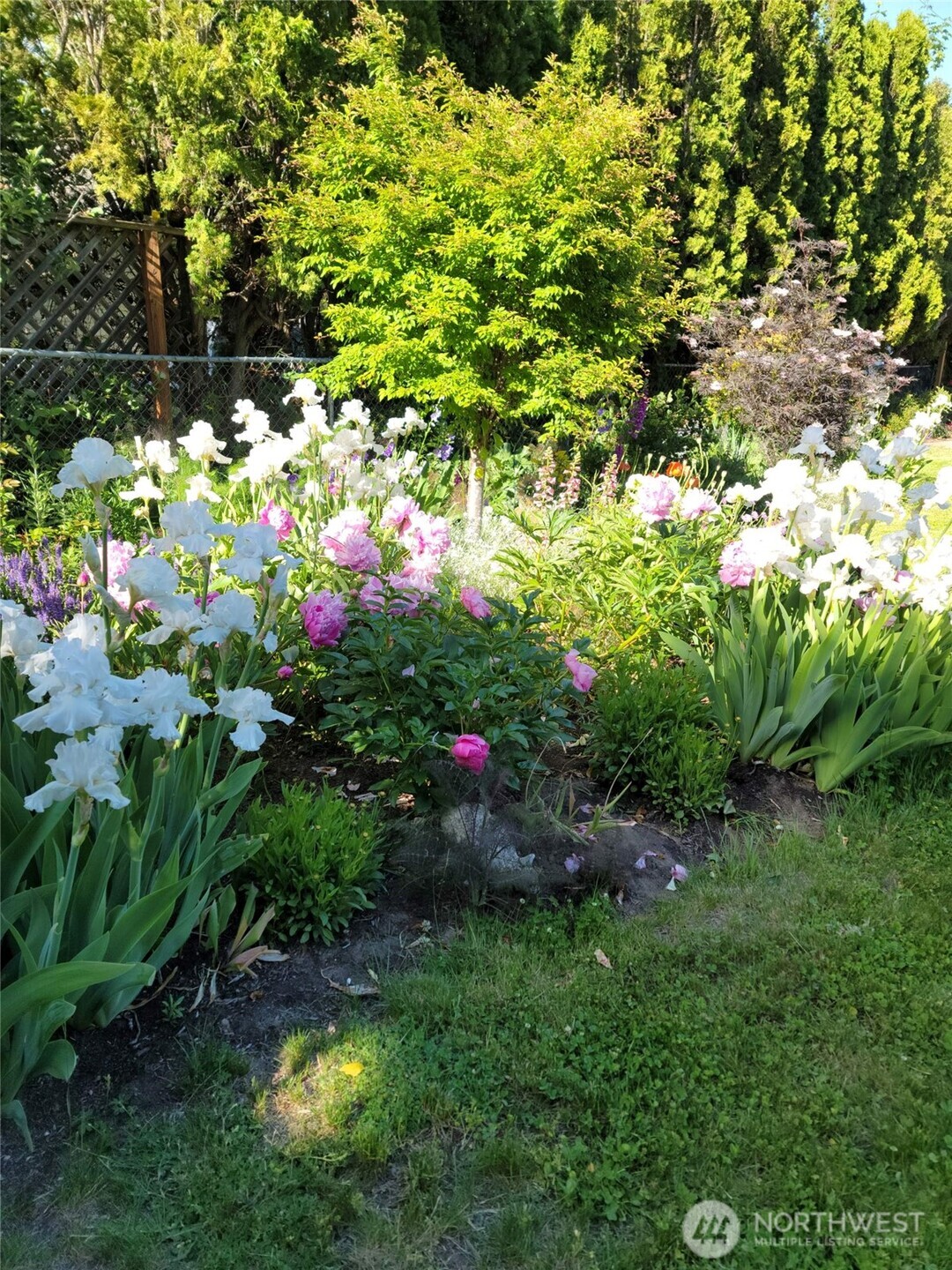 863 Dow Drive , Walla Walla, WA 99362