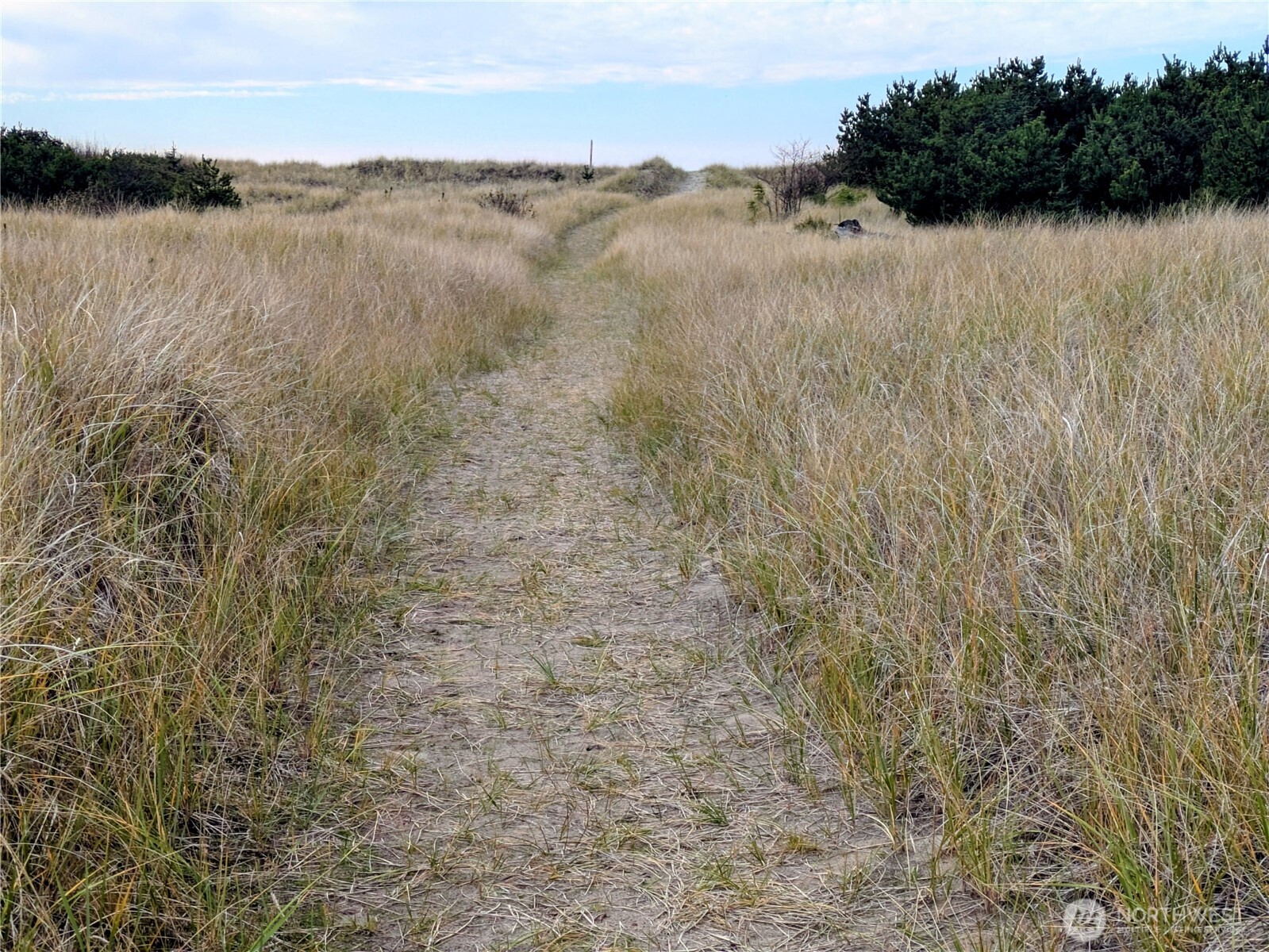 1508 177th Place , Long Beach, WA 98631