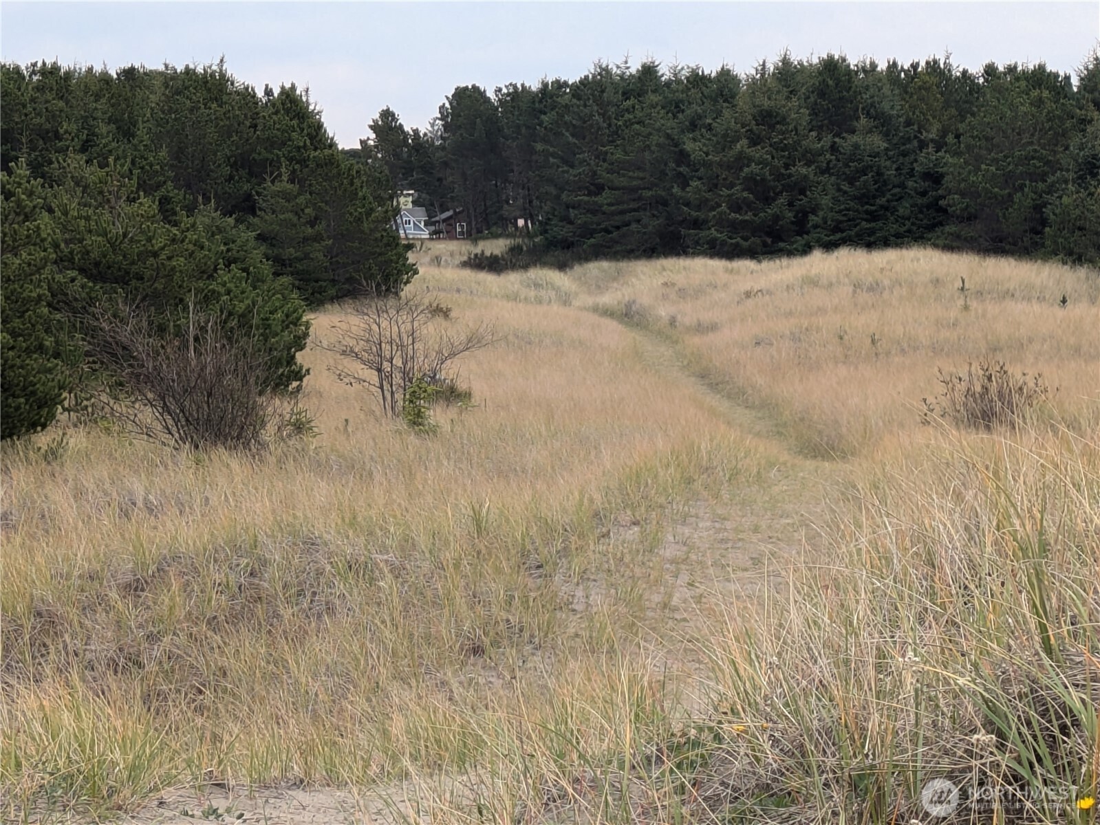 1508 177th Place , Long Beach, WA 98631