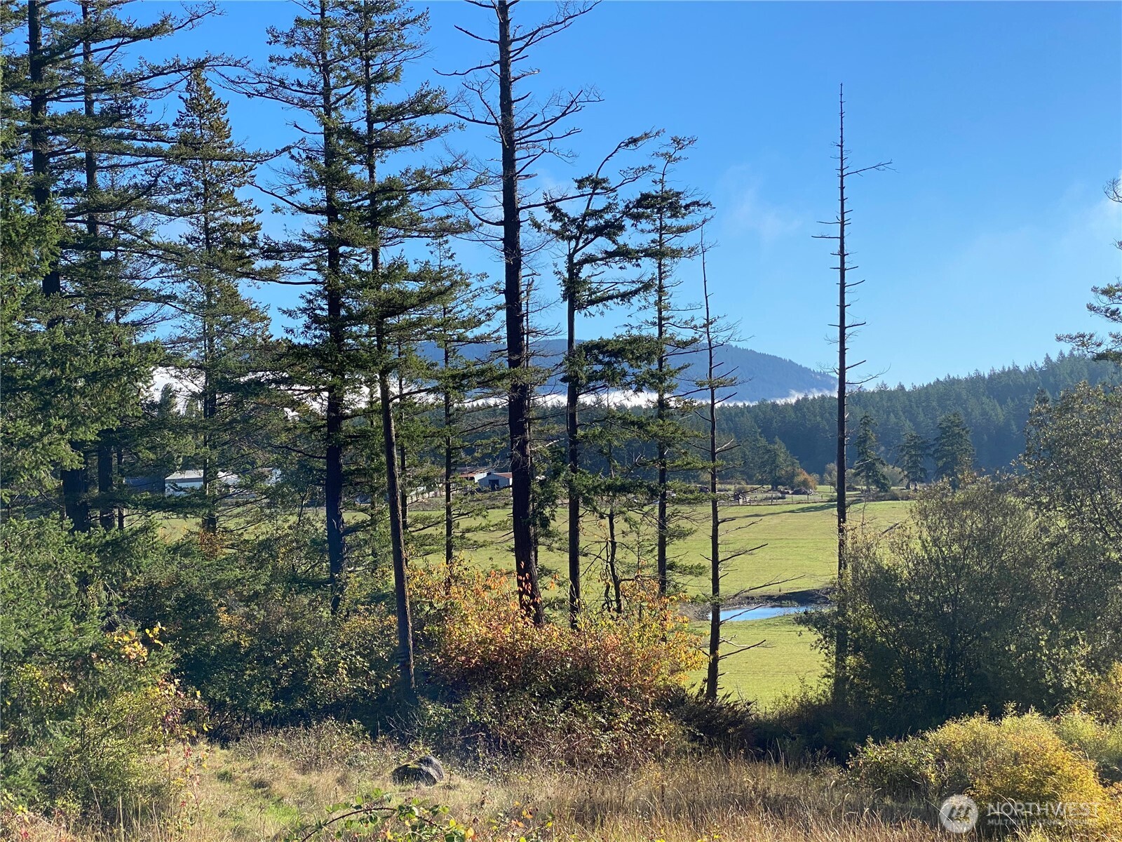 4263 Orcas Road , Orcas Island, WA 98245
