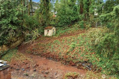 339 108th Avenue SE, Bellevue, WA 98004 - Photo 5
