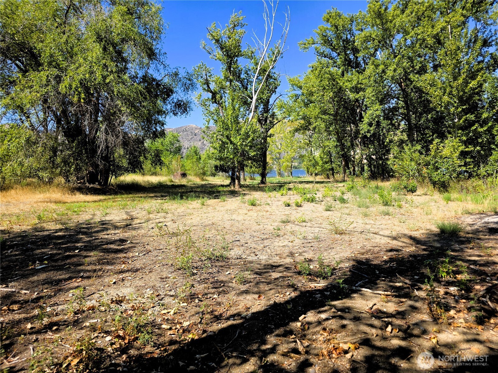 0 Hard Cider Drive , Oroville, WA 98844