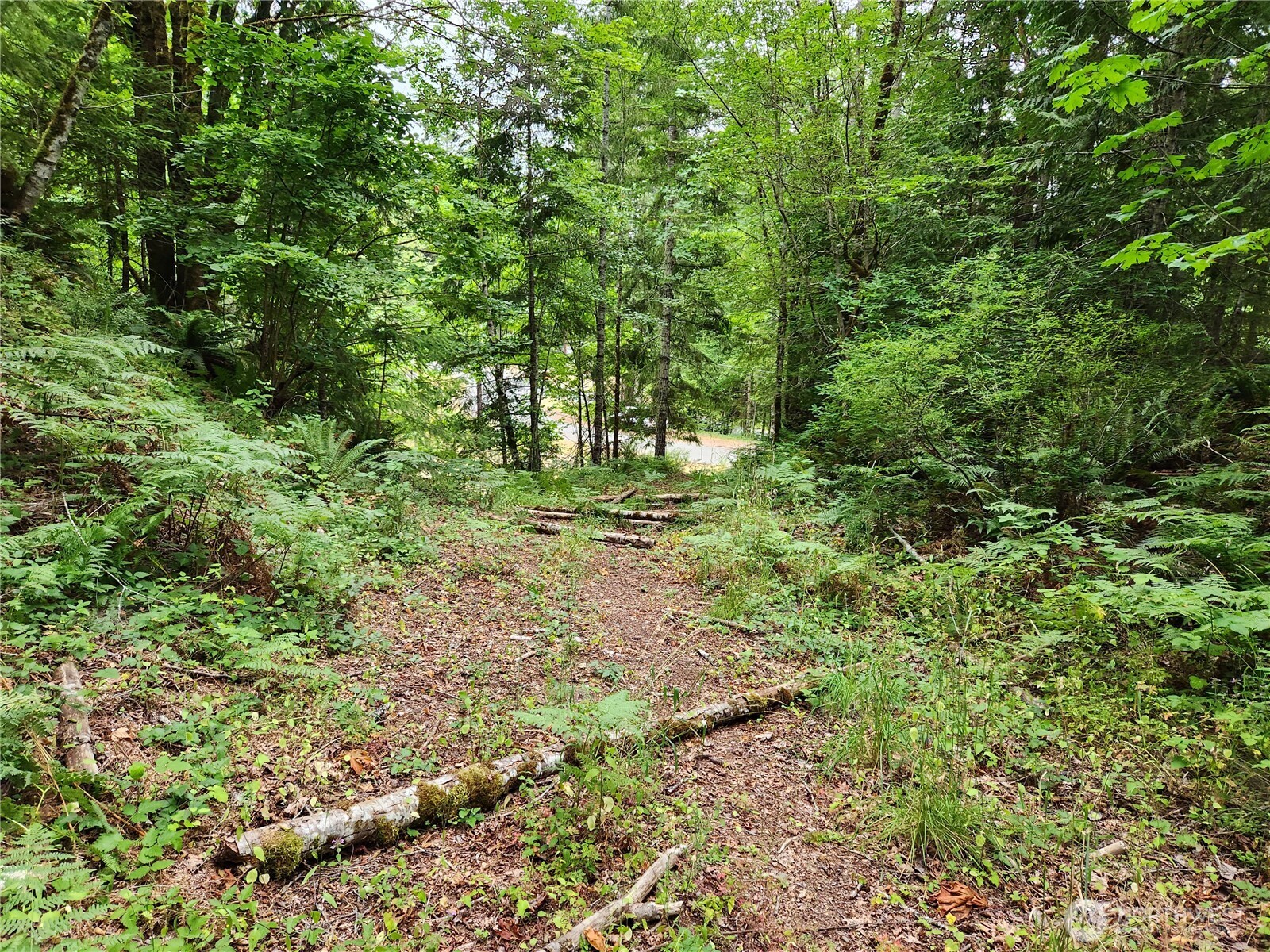 0 Lot 231 Arabian Drive , Brinnon, WA 98320