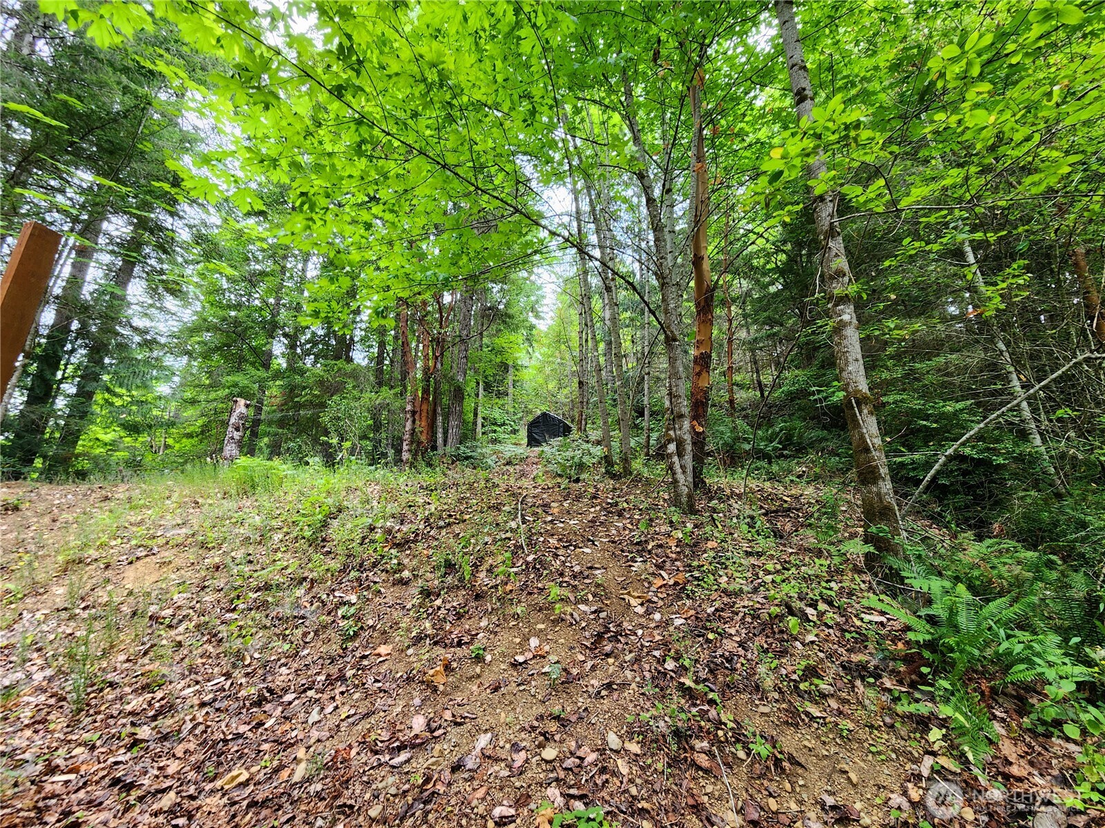 0 Lot 231 Arabian Drive , Brinnon, WA 98320