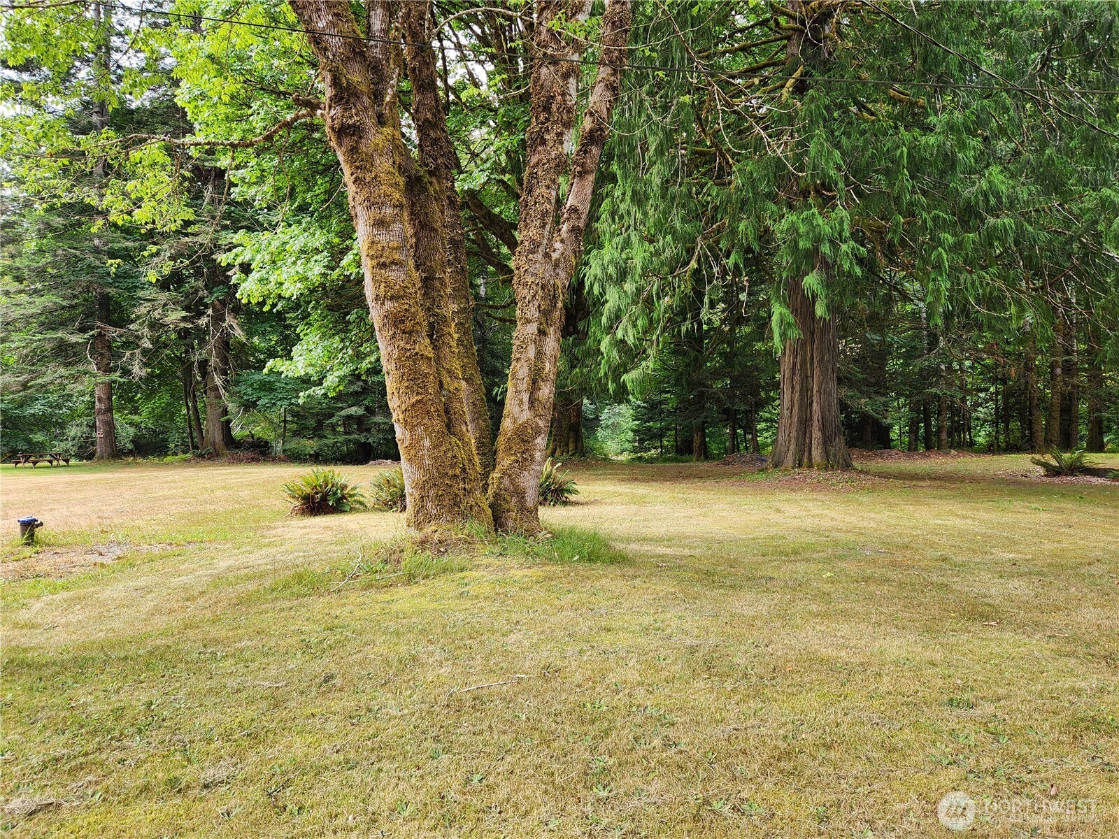 0 Lot 231 Arabian Drive , Brinnon, WA 98320