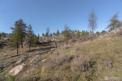 223 Cameron Lake Loop #T, Okanogan, WA 98840 - Photo 11