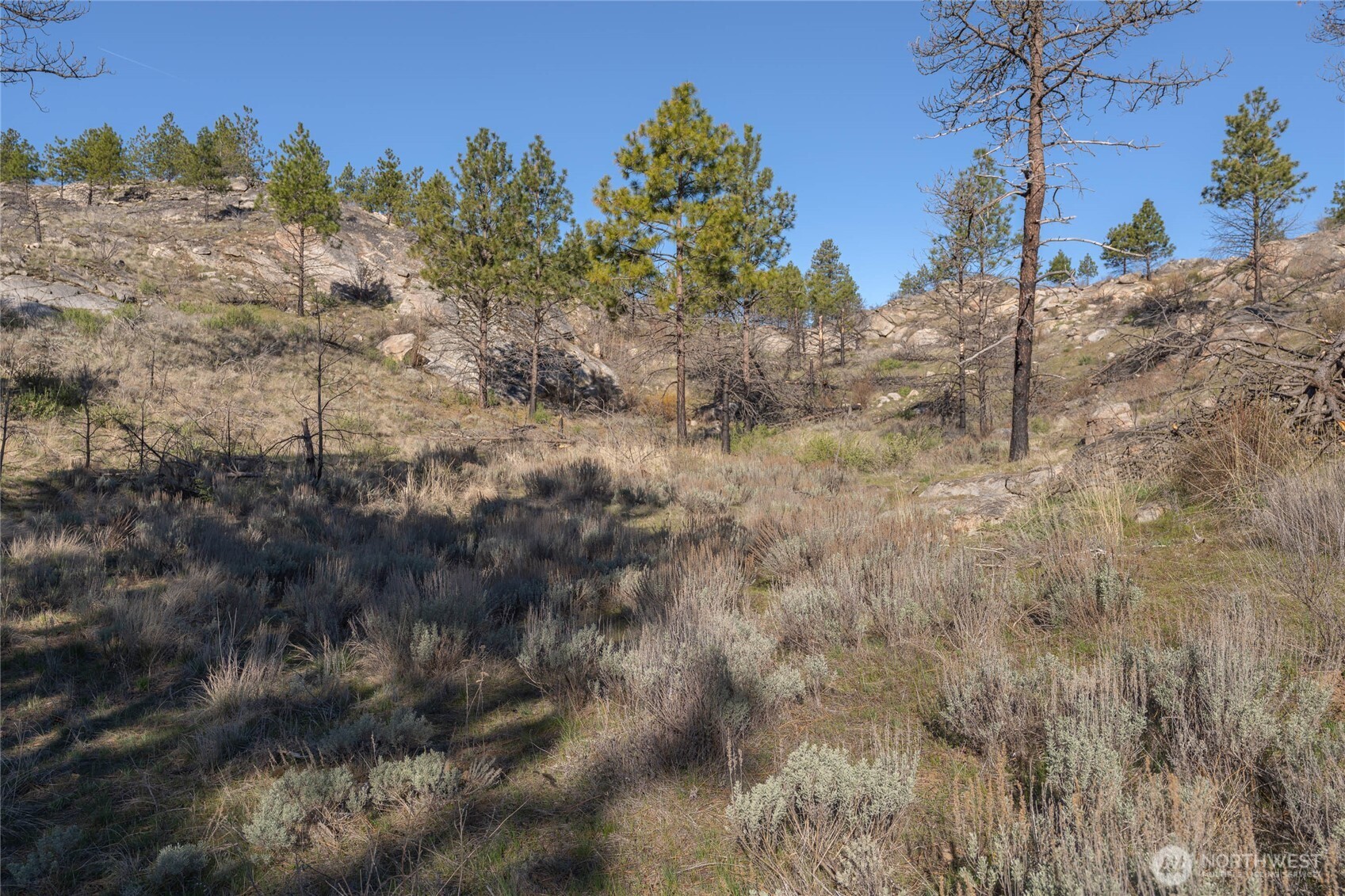 223 Cameron Lake Loop #T, Okanogan, WA 98840