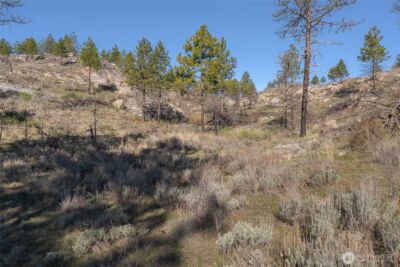 223 Cameron Lake Loop #T, Okanogan, WA 98840 - Photo 8
