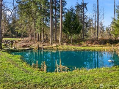 38512 Mountain Highway E, Eatonville, WA 98328 - Photo 32