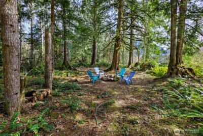0 xx Cascade River Road , Marblemount, WA 98267 - Photo 6
