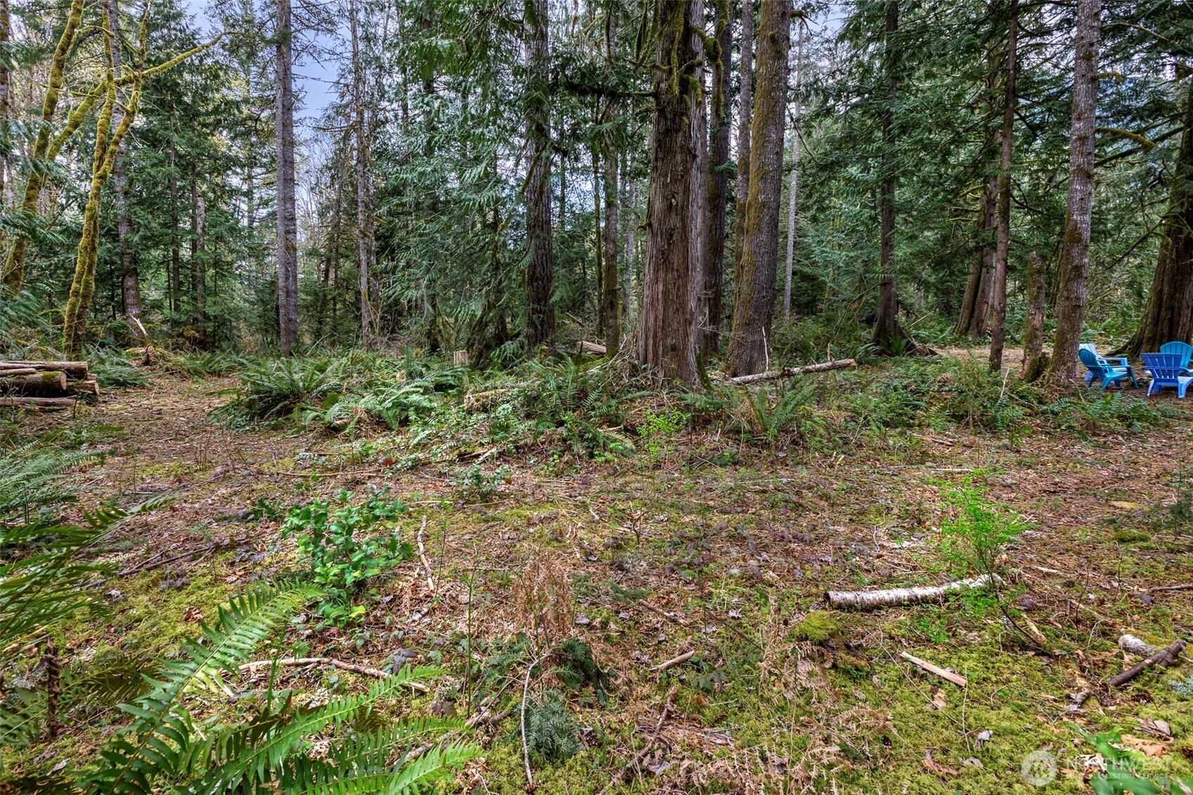 0 xx Cascade River Road , Marblemount, WA 98267