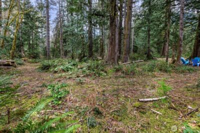 0 xx Cascade River Road , Marblemount, WA 98267 - Photo 7