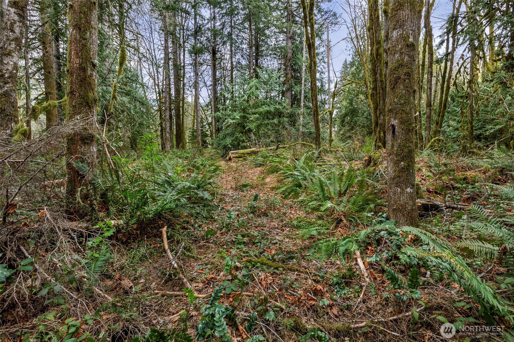 0 xx Cascade River Road , Marblemount, WA 98267