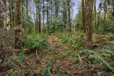 0 xx Cascade River Road , Marblemount, WA 98267 - Photo 8
