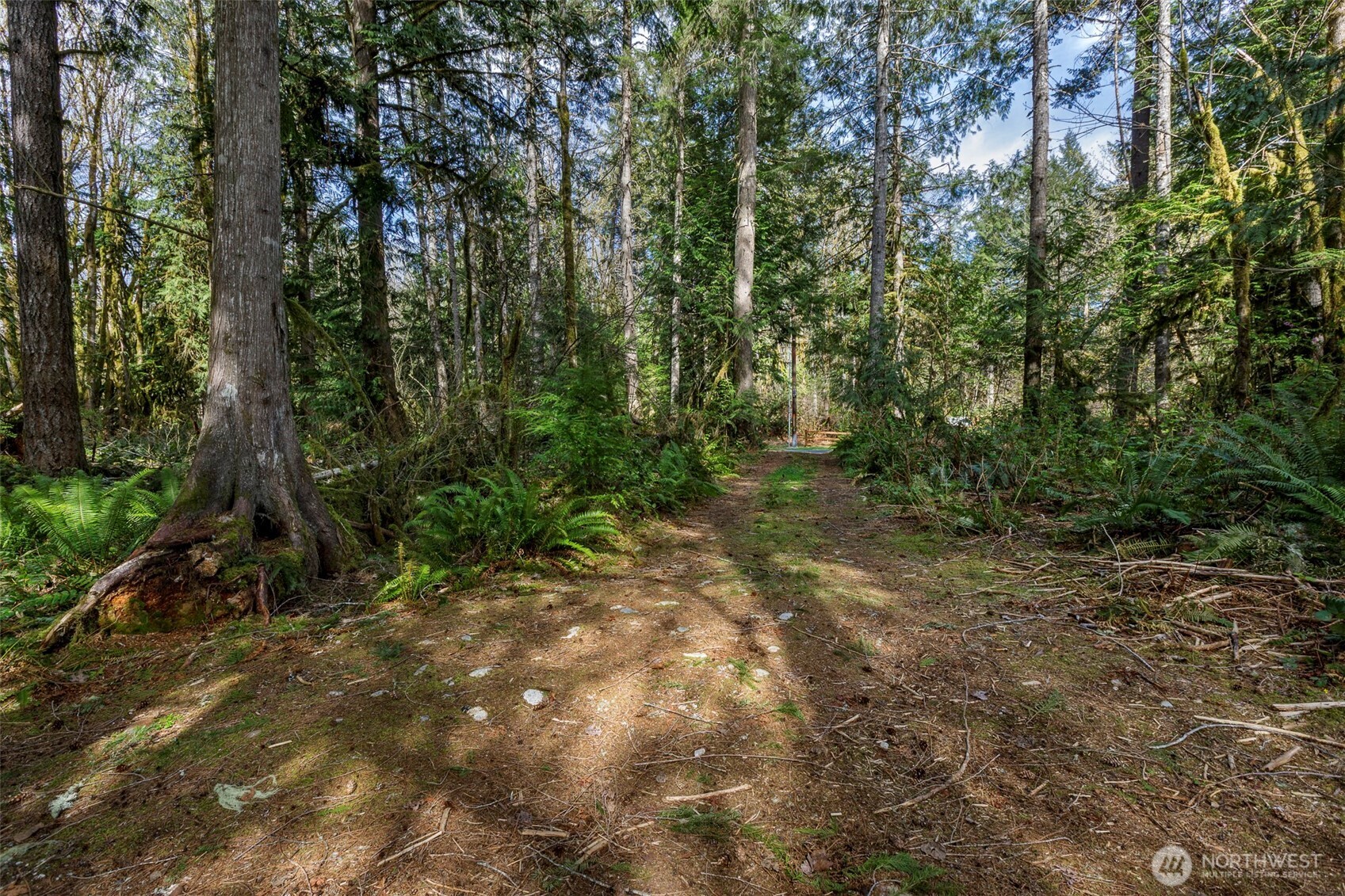 0 xx Cascade River Road , Marblemount, WA 98267