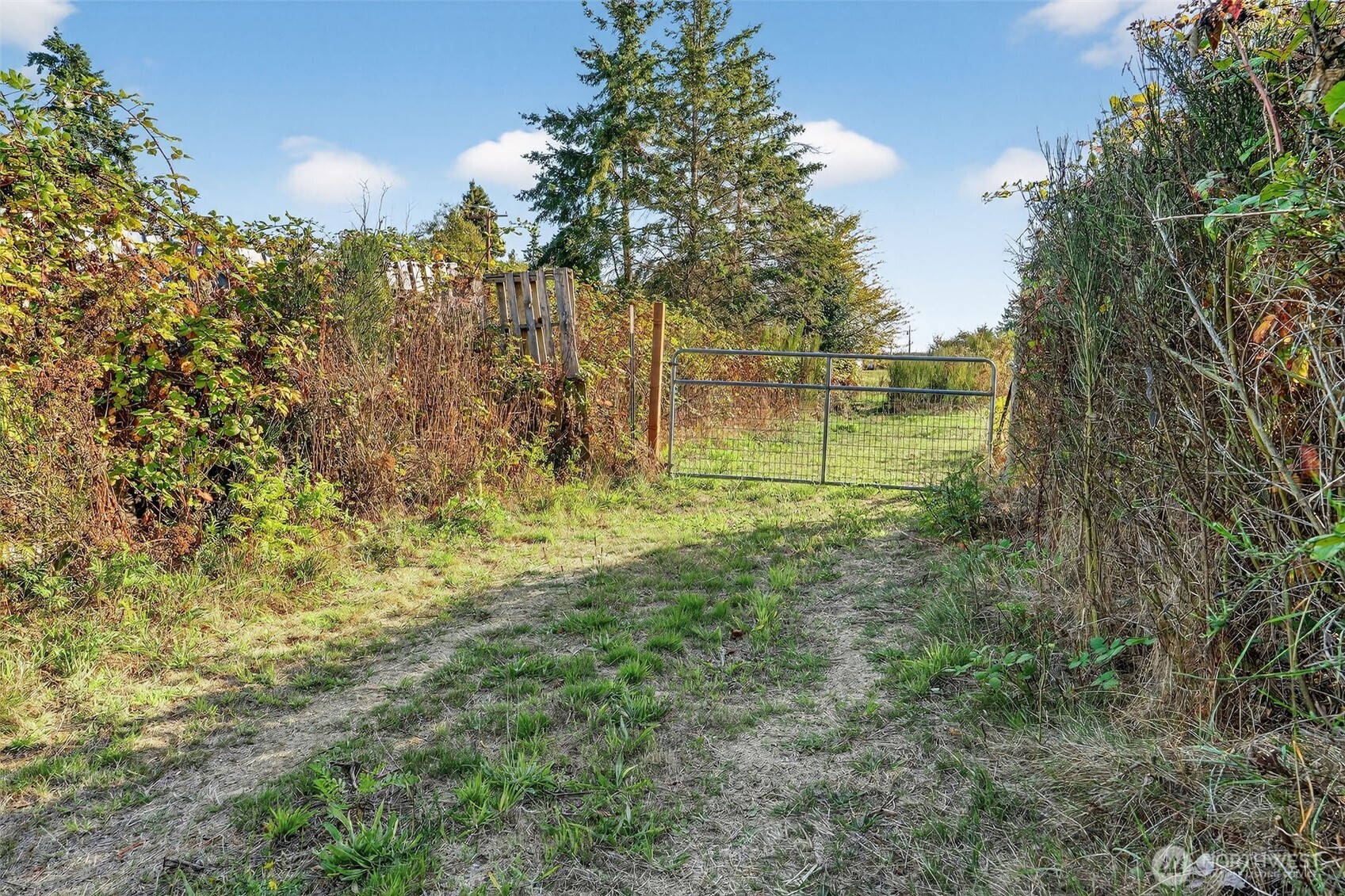 24525 59th Avenue SW, Vashon, WA 98070