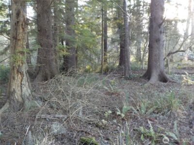 12 Third St W , Chinook, WA 98614 - Photo 11