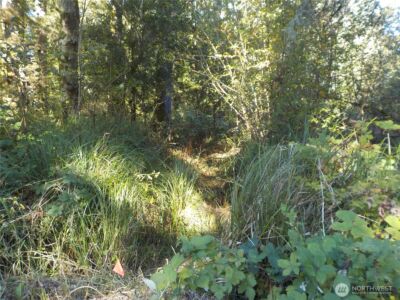 12 Third St W , Chinook, WA 98614 - Photo 13