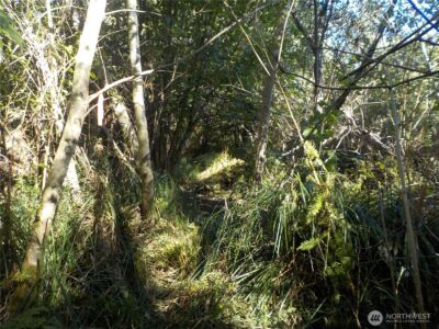 12 Third St W , Chinook, WA 98614 - Photo 14