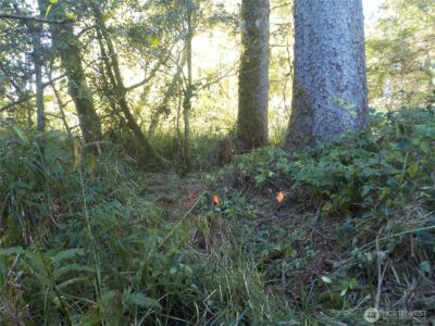 12 Third St W , Chinook, WA 98614 - Photo 15