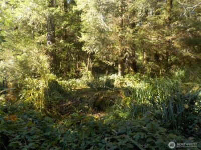 12 Third St W , Chinook, WA 98614 - Photo 17