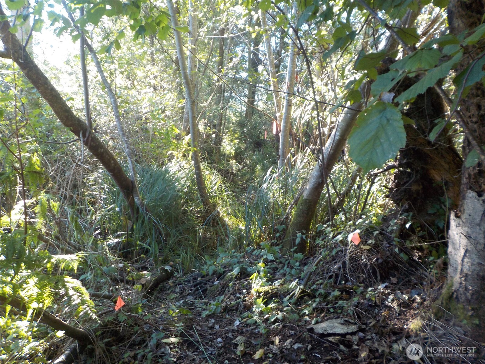 12 Third St W , Chinook, WA 98614