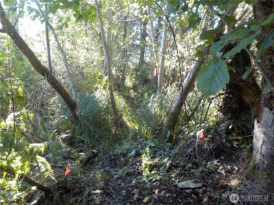 12 Third St W , Chinook, WA 98614 - Photo 18