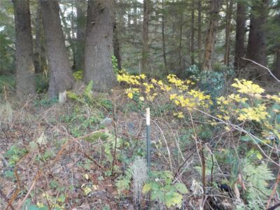 12 Third St W , Chinook, WA 98614 - Photo 9