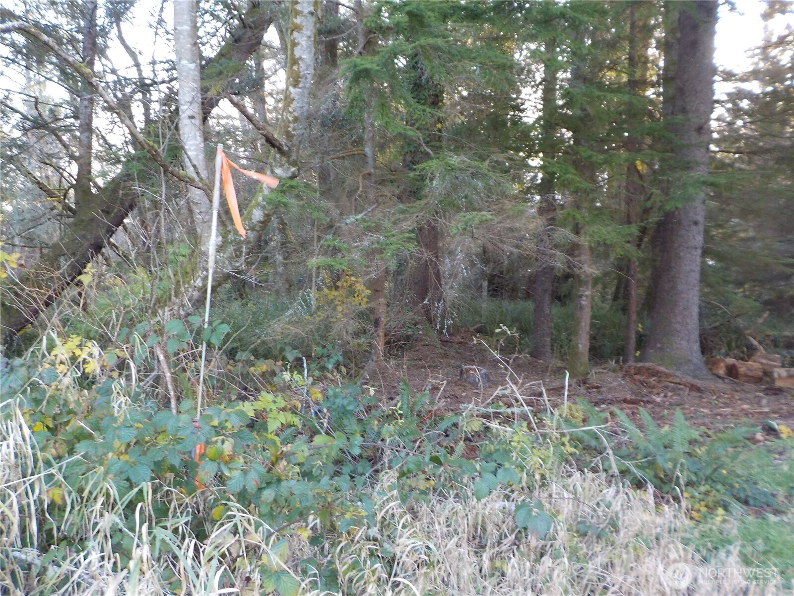 12 Third St W , Chinook, WA 98614