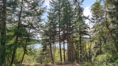 0 XXX Campbell Lake Road , Anacortes, WA 98221 - Photo 24