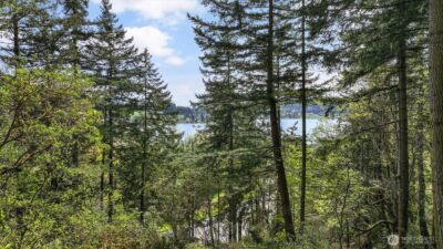0 XXX Campbell Lake Road , Anacortes, WA 98221 - Photo 26