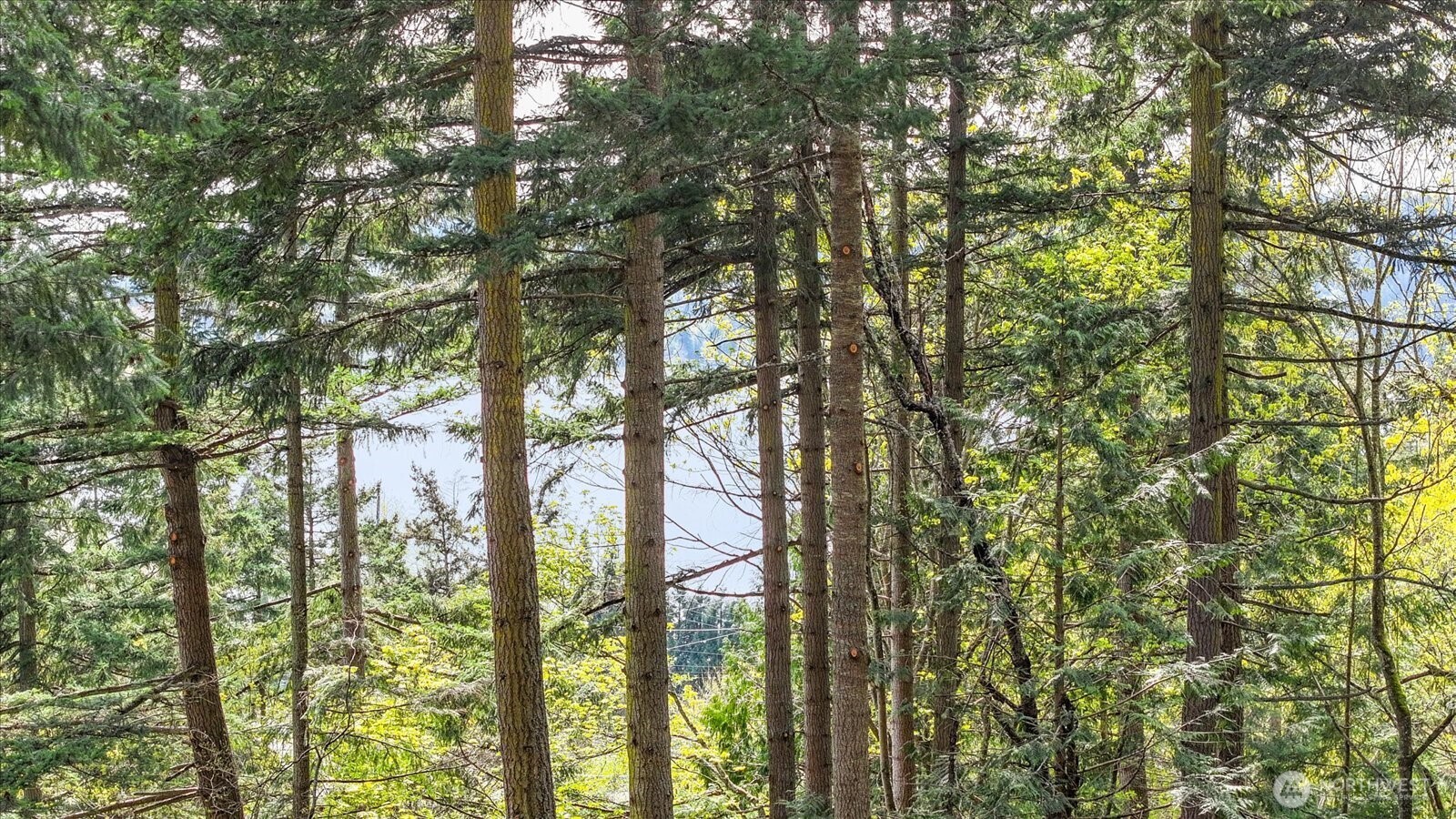 0 XXX Campbell Lake Road , Anacortes, WA 98221