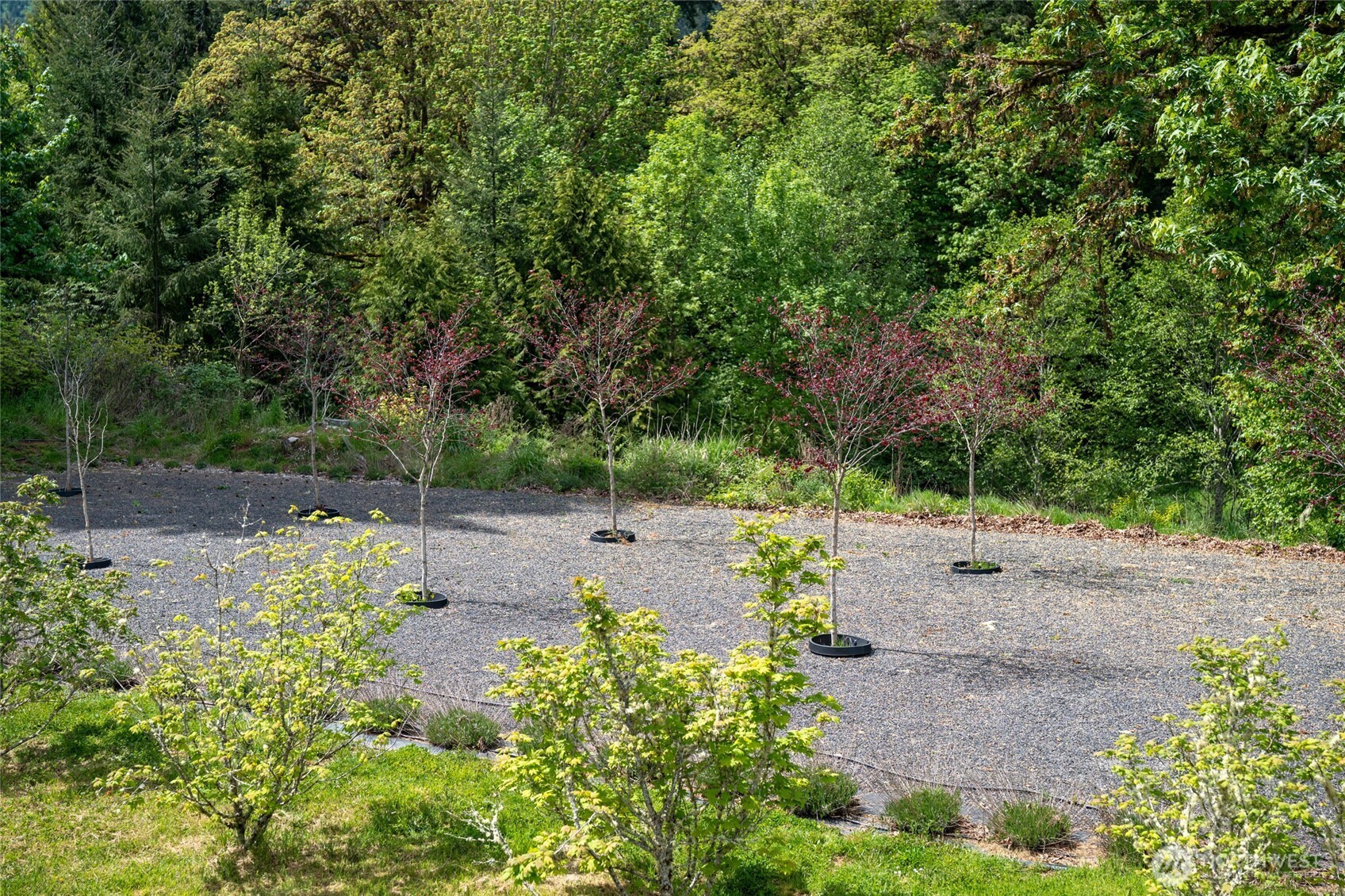 4680 State Route 6 , Chehalis, WA 98539