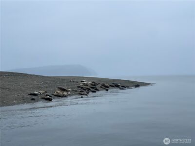 81 F Beach Way , Hat Island, WA 98206 - Photo 18