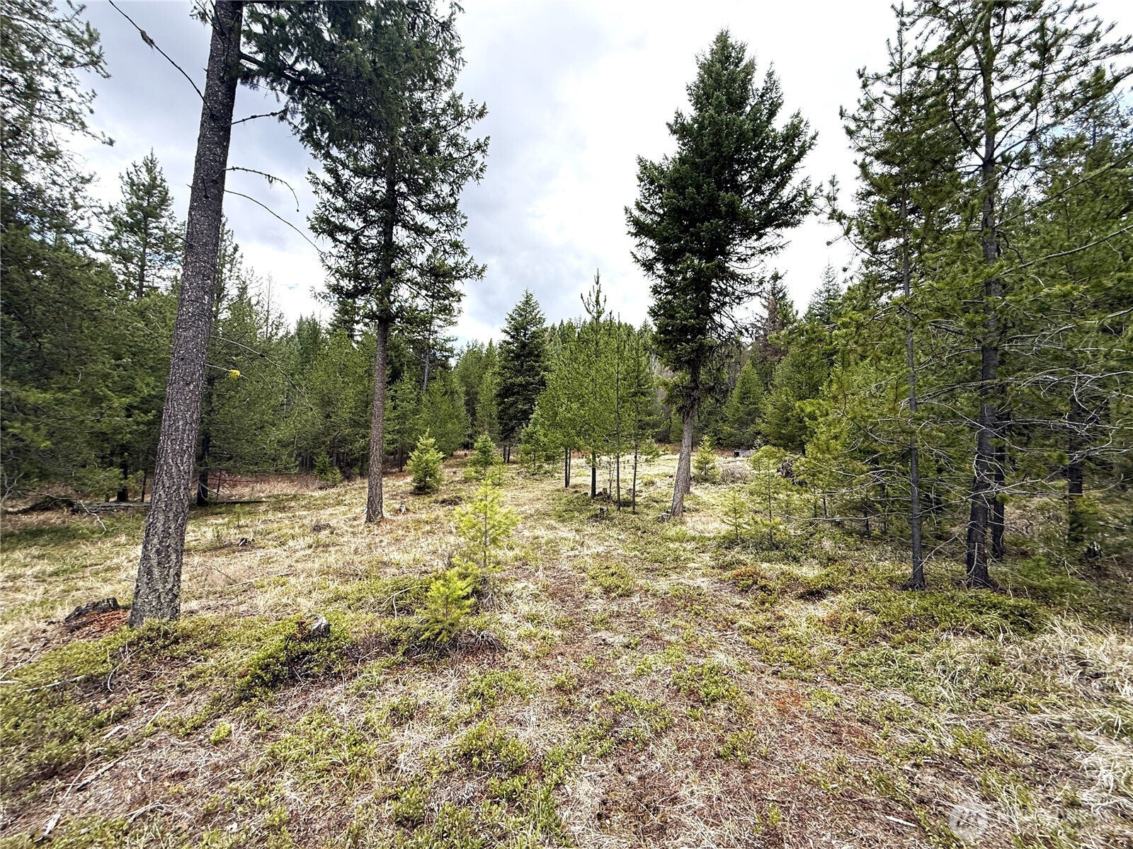 7 Hazel Lane , Republic, WA 99166