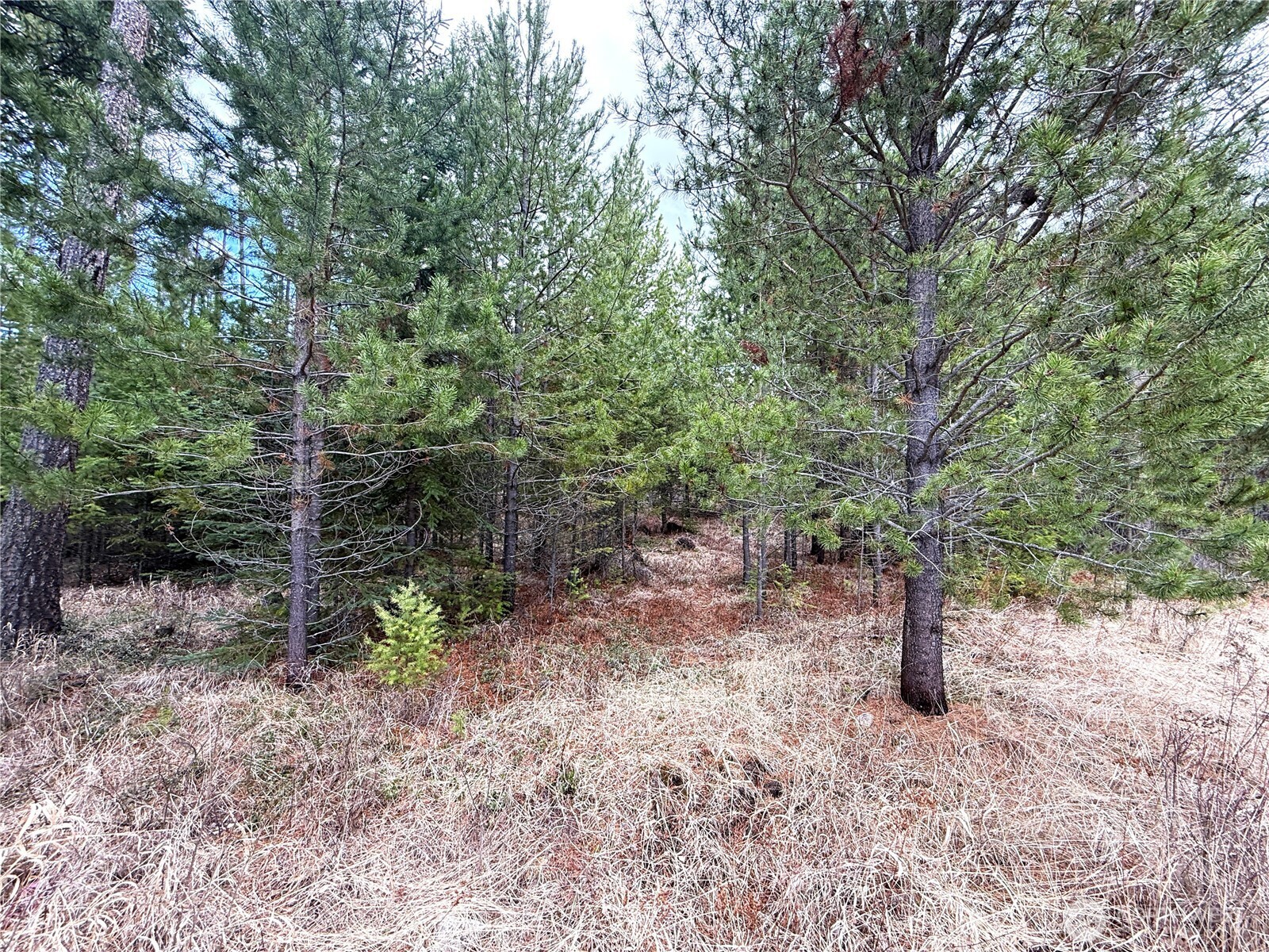 7 Hazel Lane , Republic, WA 99166