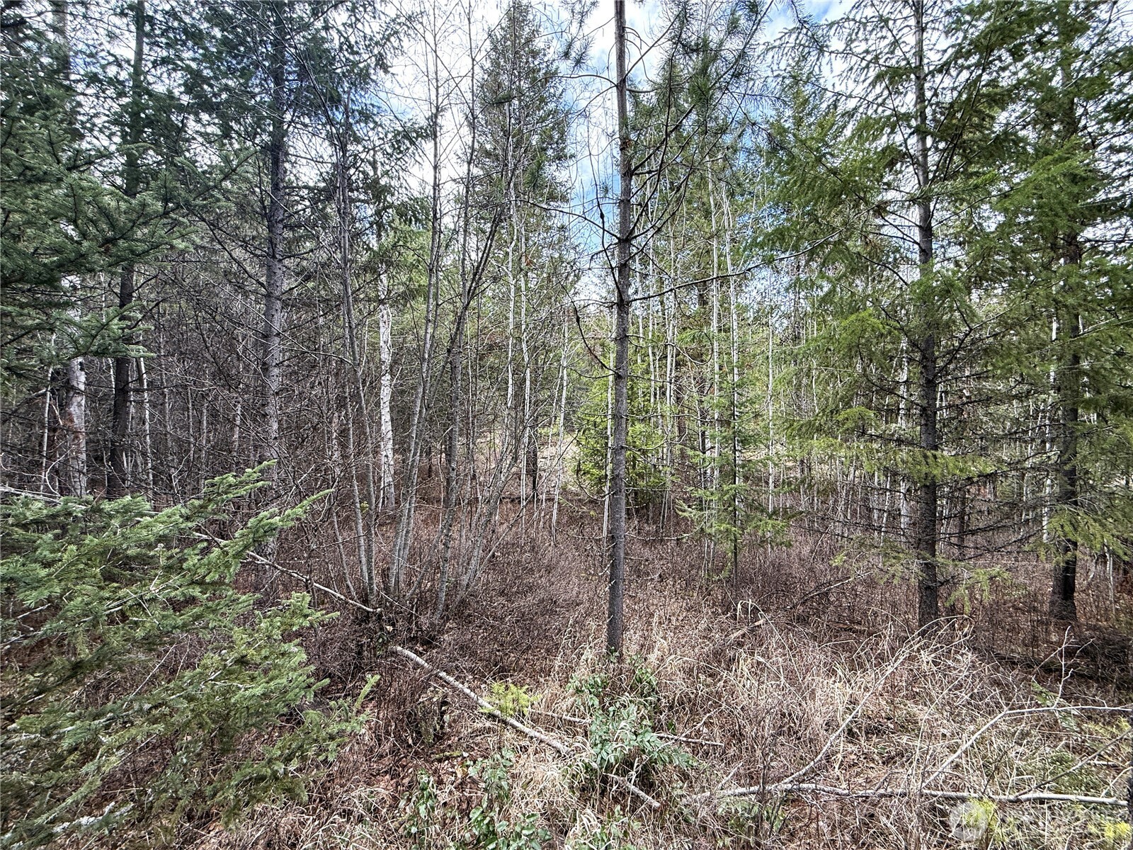 7 Hazel Lane , Republic, WA 99166