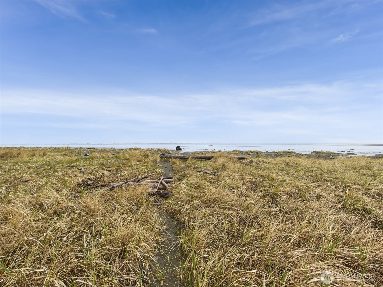 50 Diamond Drive , Pacific Beach, WA 98571