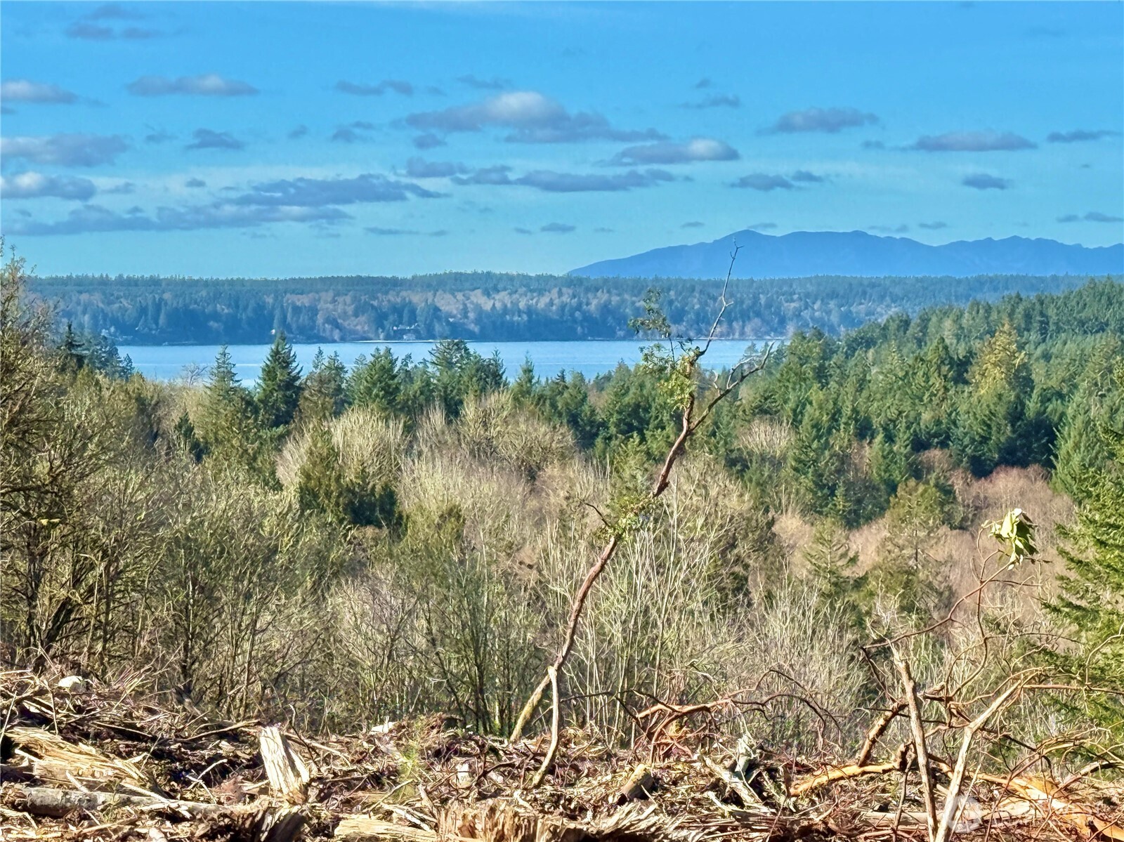 4319 183rd Avenue Ct SW, Longbranch, WA 98351