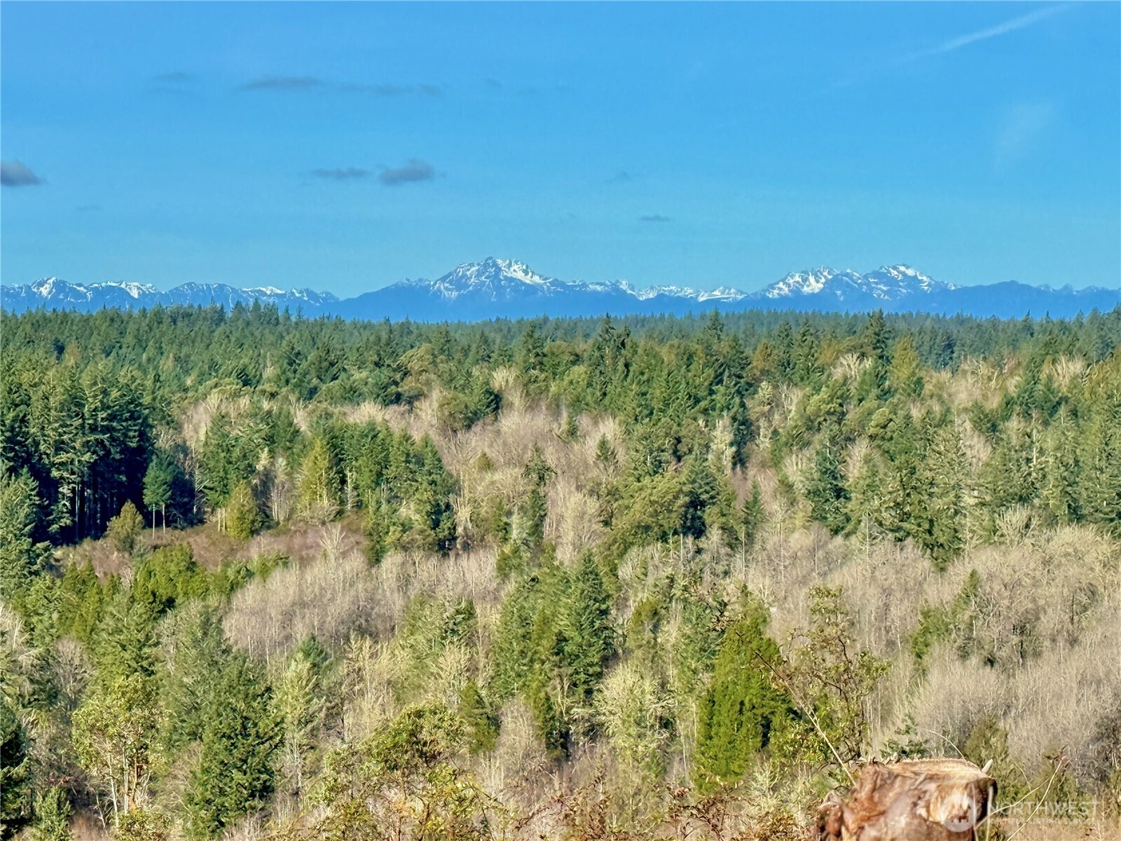 4319 183rd Avenue Ct SW, Longbranch, WA 98351