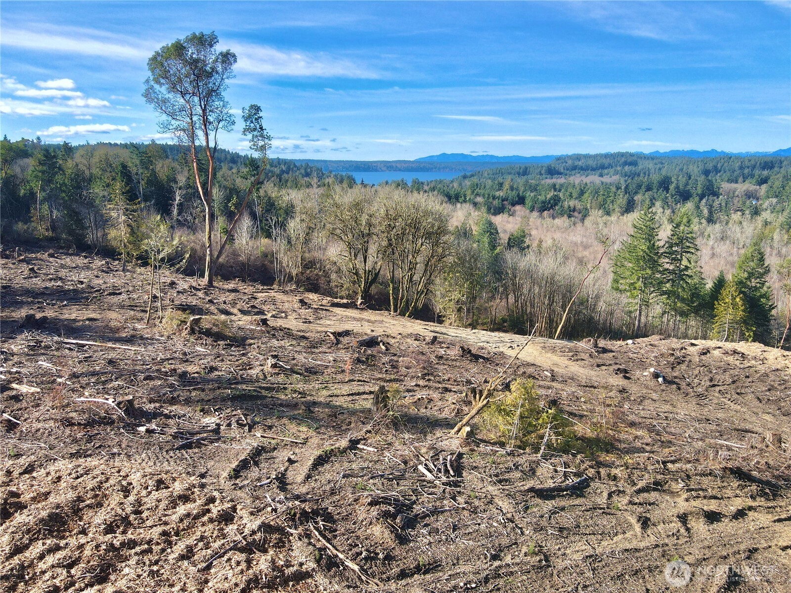 4319 183rd Avenue Ct SW, Longbranch, WA 98351