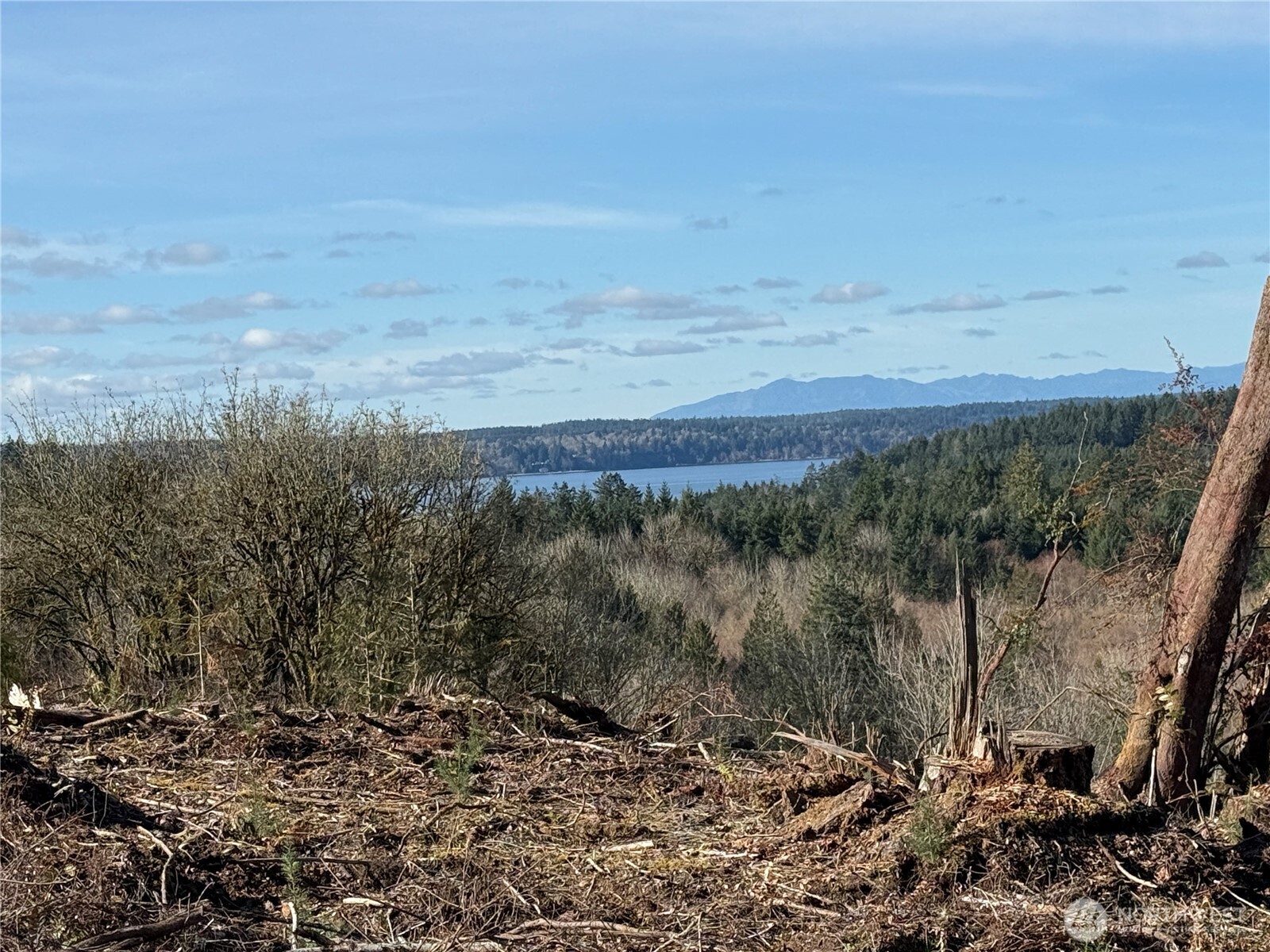 4319 183rd Avenue Ct SW, Longbranch, WA 98351