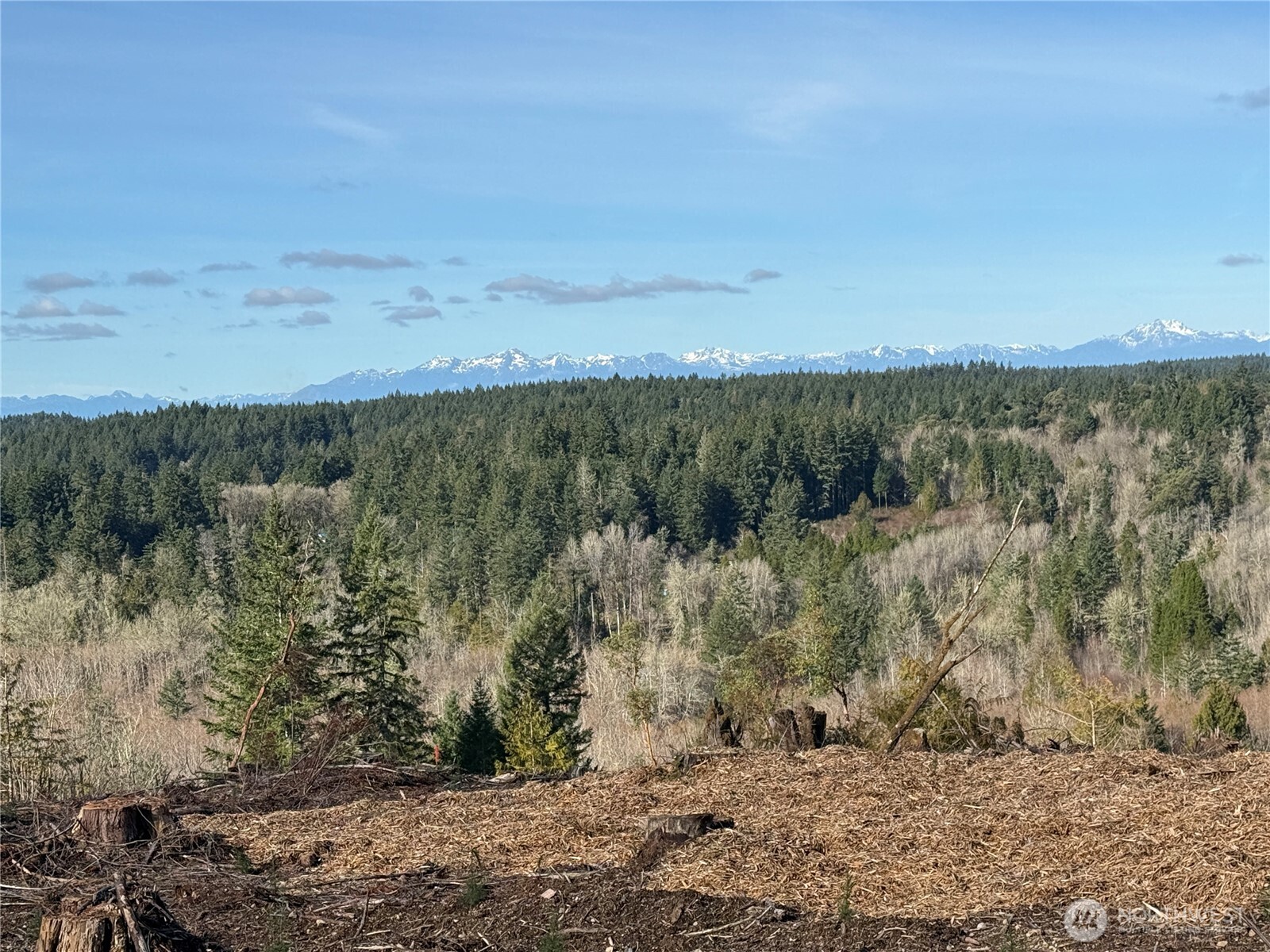 4319 183rd Avenue Ct SW, Longbranch, WA 98351