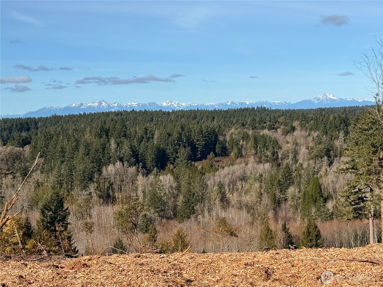4319 183rd Avenue Ct SW, Longbranch, WA 98351