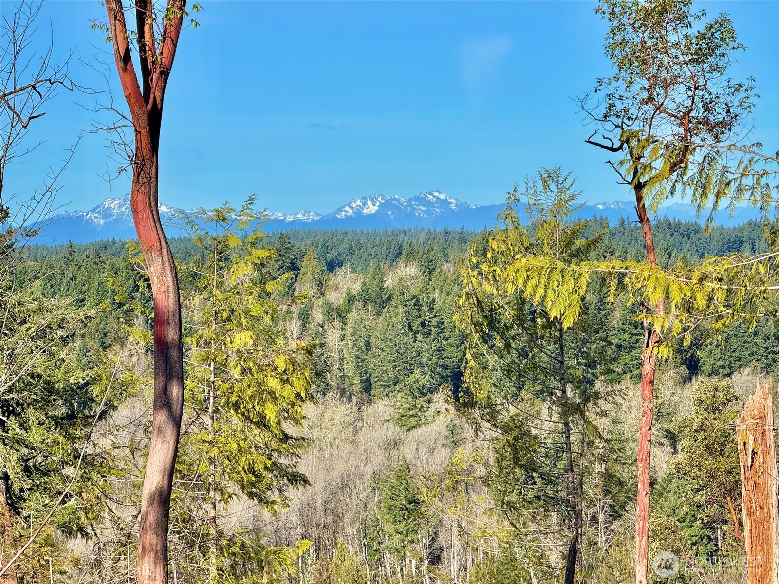 4319 183rd Avenue Ct SW, Longbranch, WA 98351