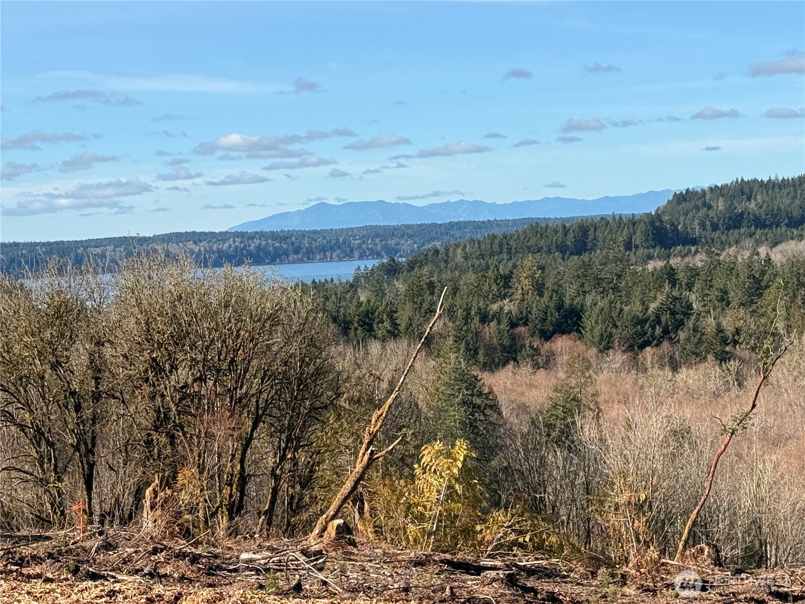 4319 183rd Avenue Ct SW, Longbranch, WA 98351