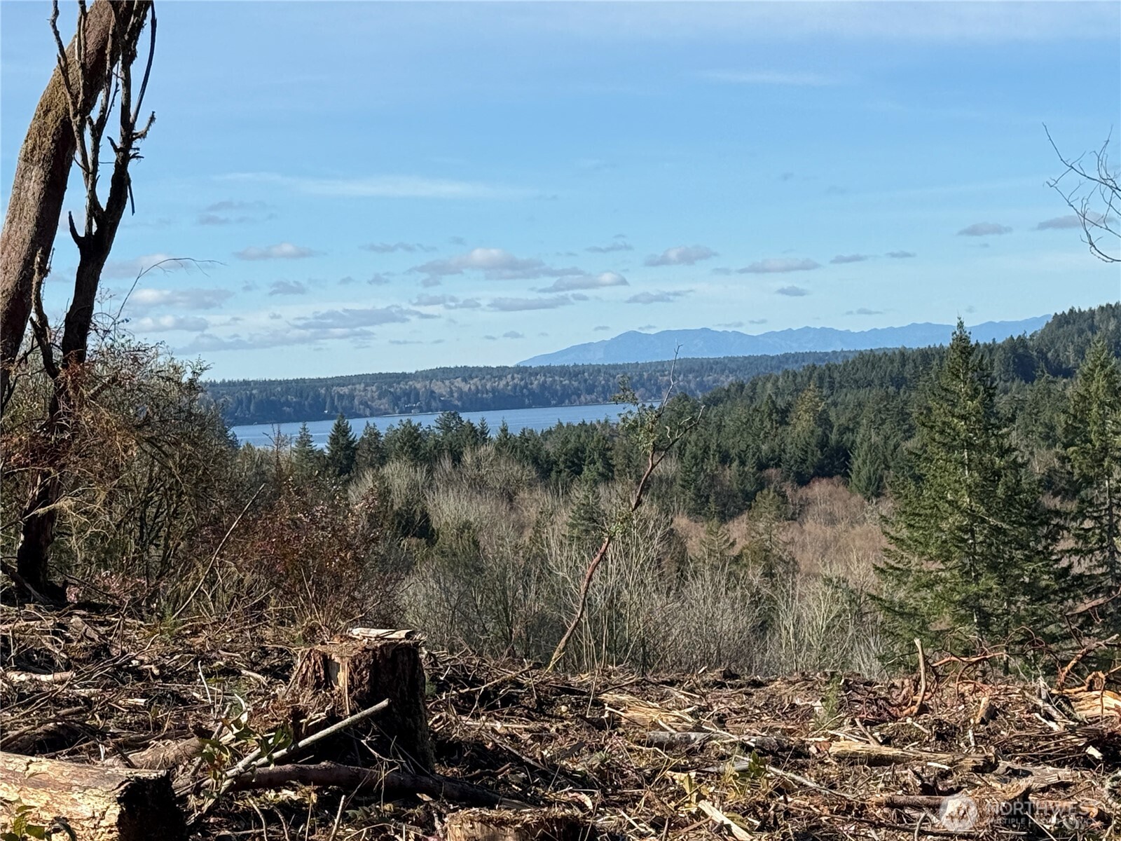 4319 183rd Avenue Ct SW, Longbranch, WA 98351