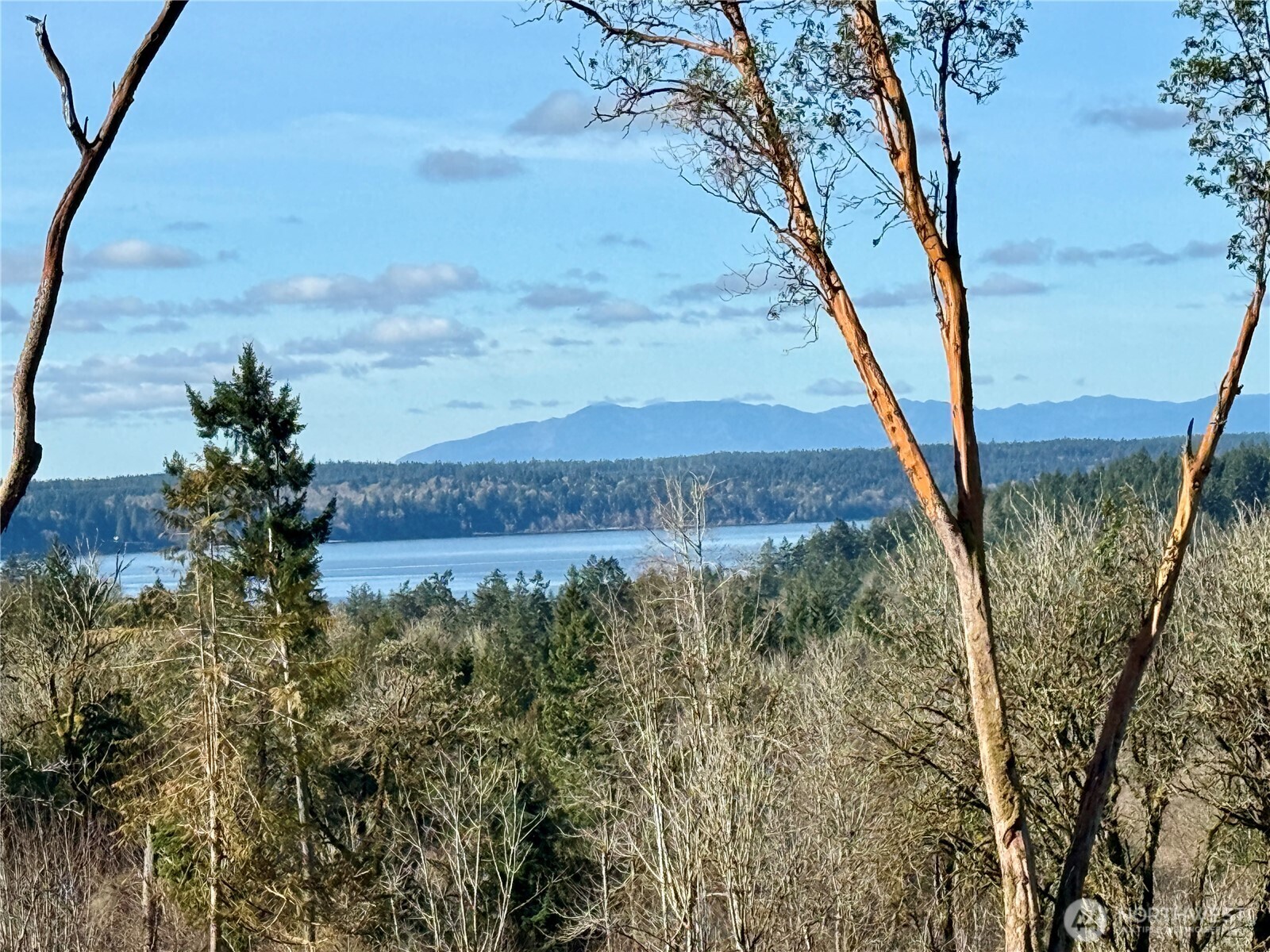 4319 183rd Avenue Ct SW, Longbranch, WA 98351